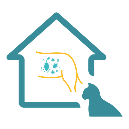 Easy Home Kit: Affordable Pet Labs Biome Diagnostic Test for Cats - Image 4