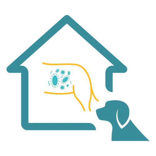 Easy Home Kit: Affordable Pet Labs Biome Diagnostic Test for Dogs (Doggy Biome) - Image 5