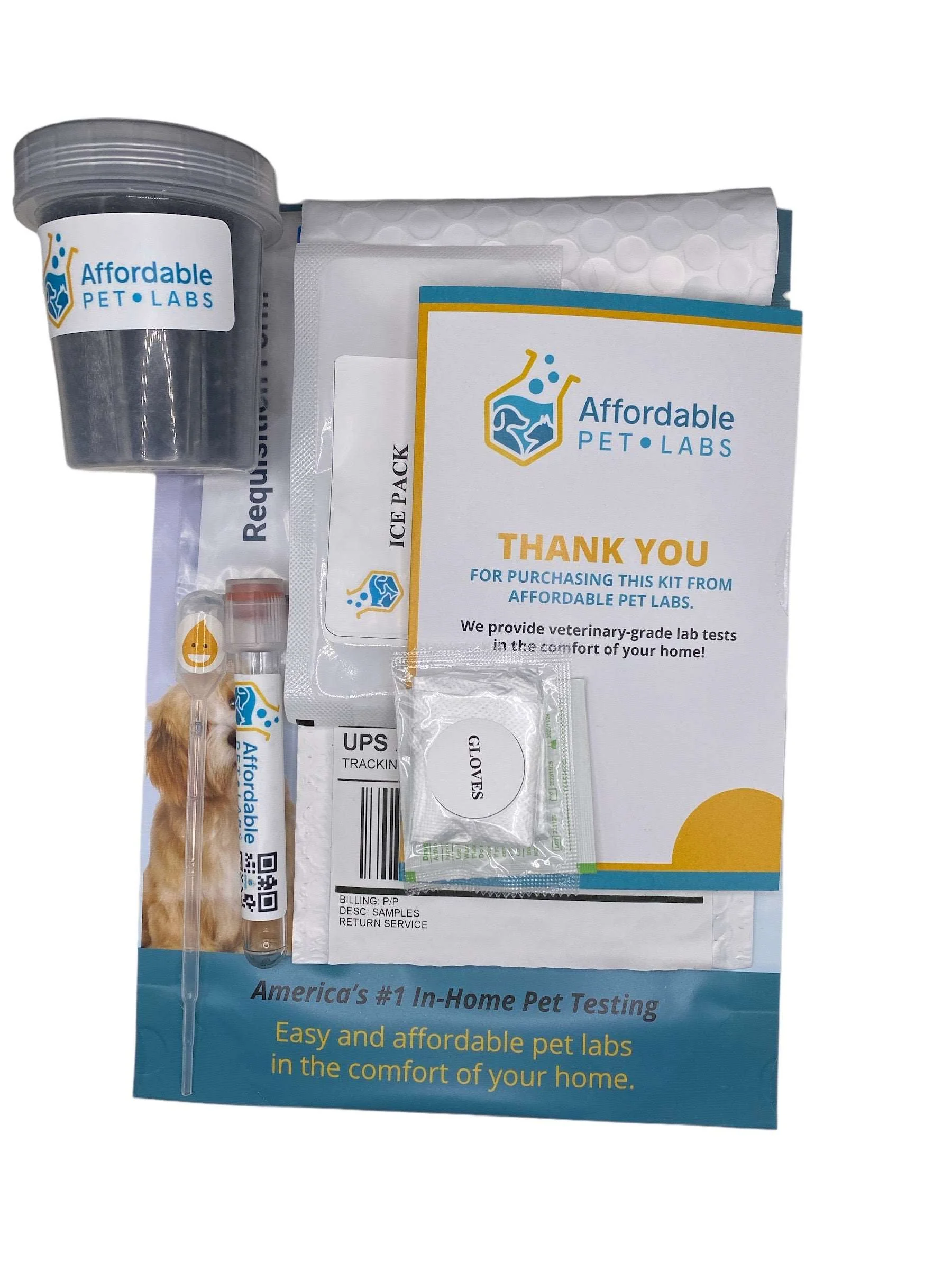 Easy Home Kit: Affordable Pet Labs Combo Complete Urinalysis & Fecal Test For Cats - Image 6