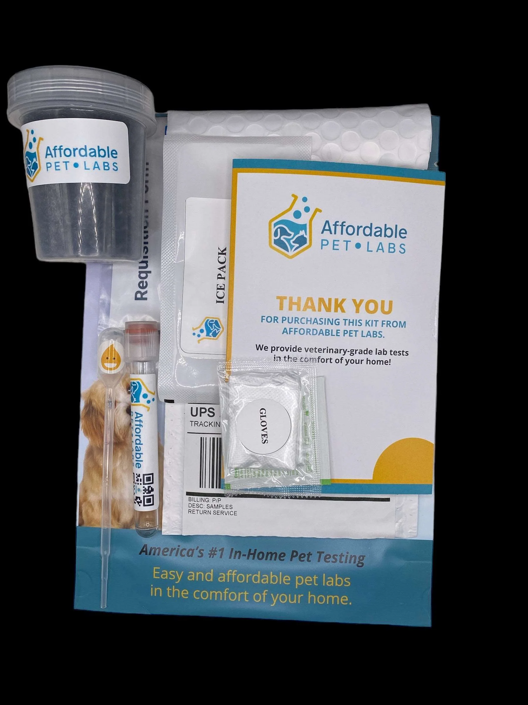 Easy Home Kit: Affordable Pet Labs Combo Complete Urinalysis & Fecal Test For Dogs - Image 4