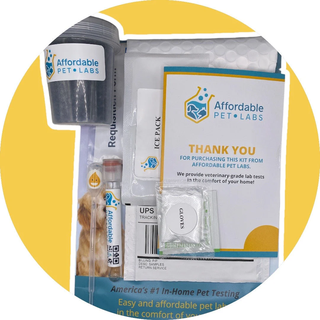 Easy Home Kit: Affordable Pet Labs Complete Urinalysis with Microscopic Evaluation For A Cat - Image 7