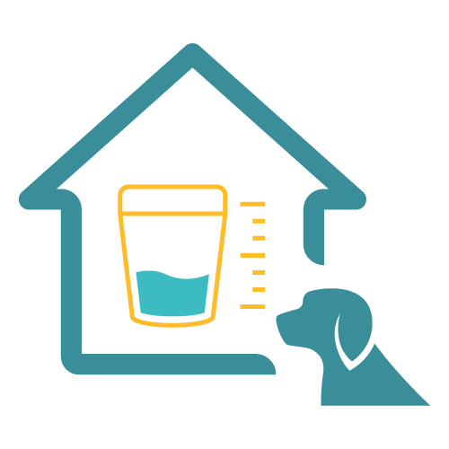 Easy Home Kit: Affordable Pet Labs Complete Urinalysis with Microscopic Evaluation For Dogs - Image 4