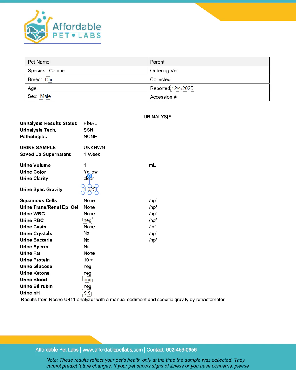 Easy Home Kit: Affordable Pet Labs Combo Complete Urinalysis & Fecal Test For Dogs - Image 9