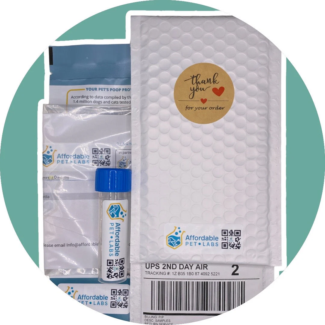 Easy Home Kit: Affordable Pet Labs Diarrhea Disease Diagnostic Test - Fecal PCR Test For Dogs - Image 5