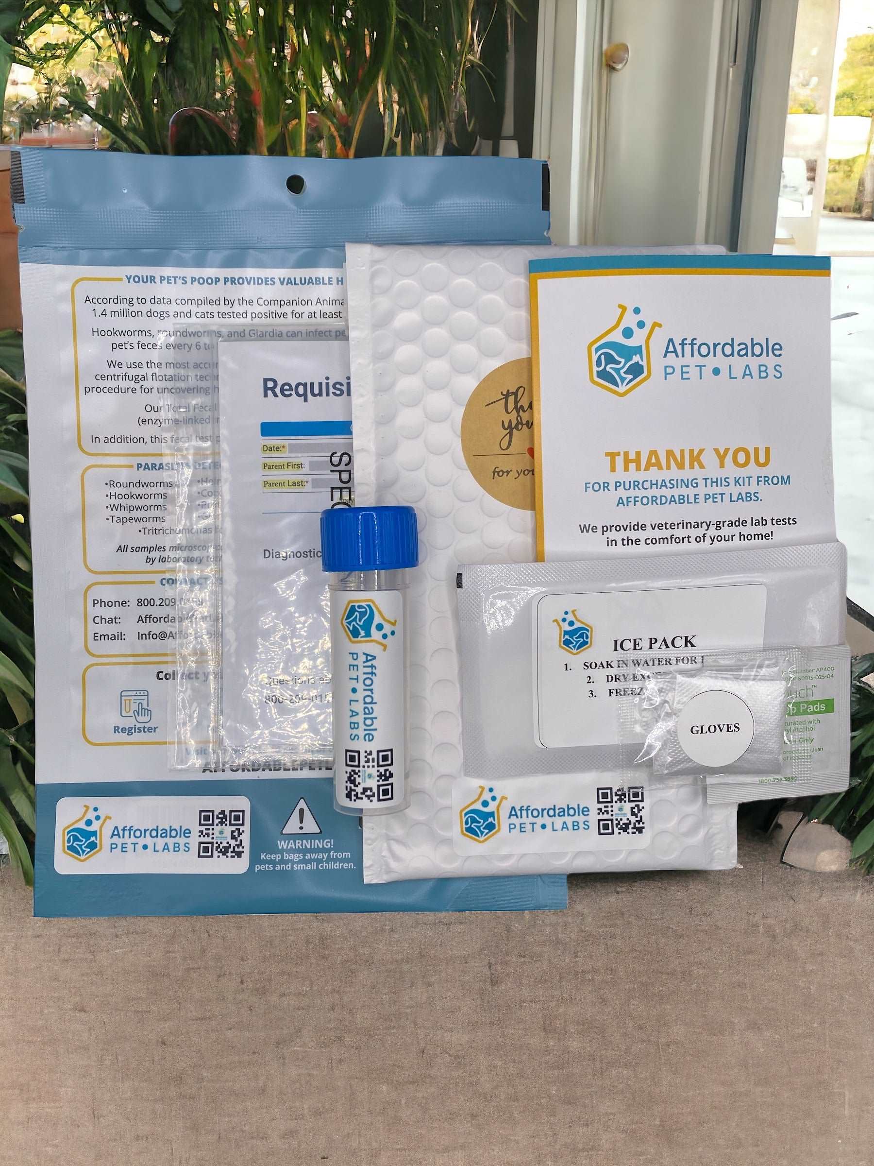 Easy Home Kit: Affordable Pet Labs Fecal Culture Diagnostic Test For Dogs - Image 5