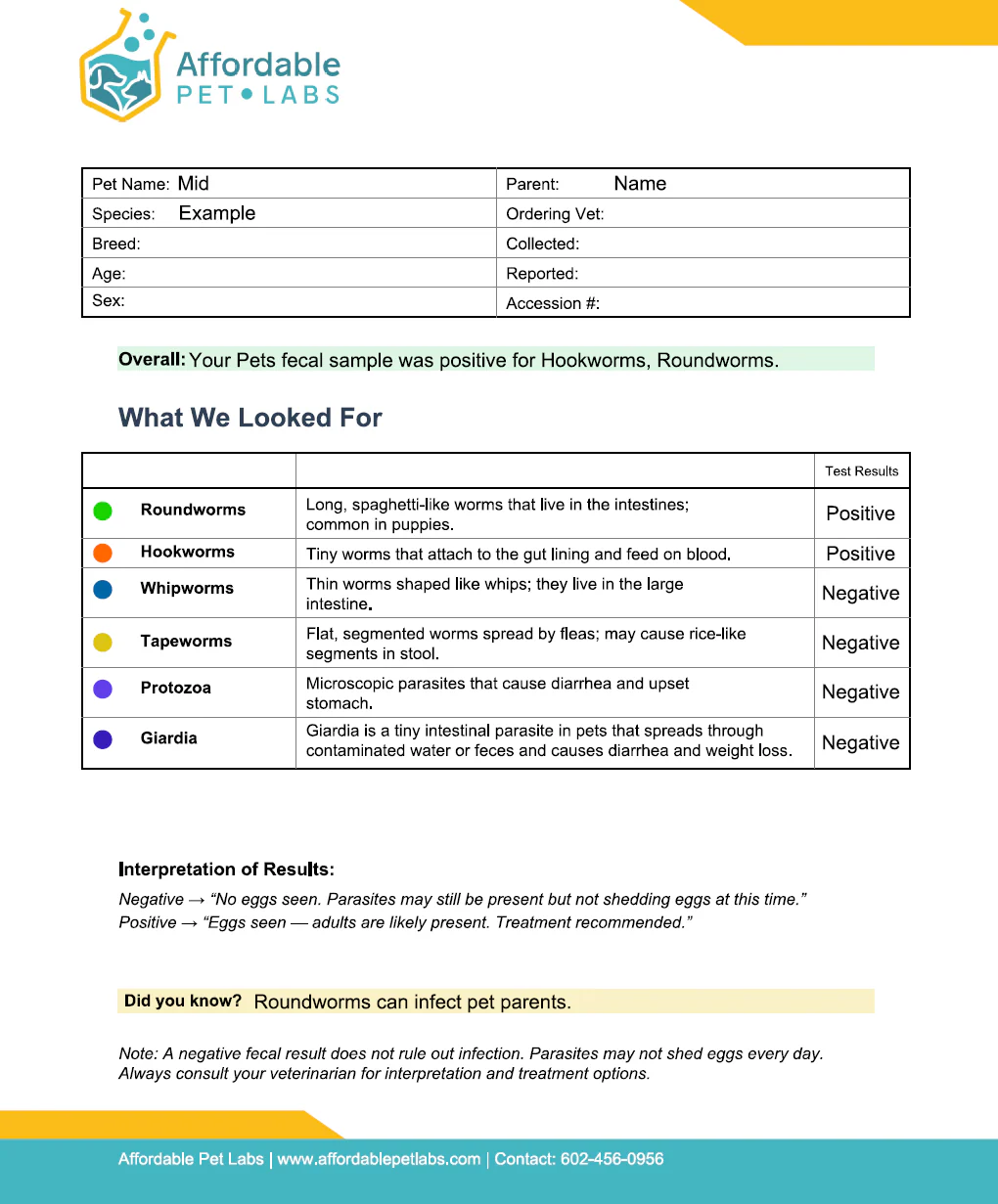 Easy Home Kit Affordable Pet Labs Total Fecal Tests Plus Giardia For Dogs - Image 13