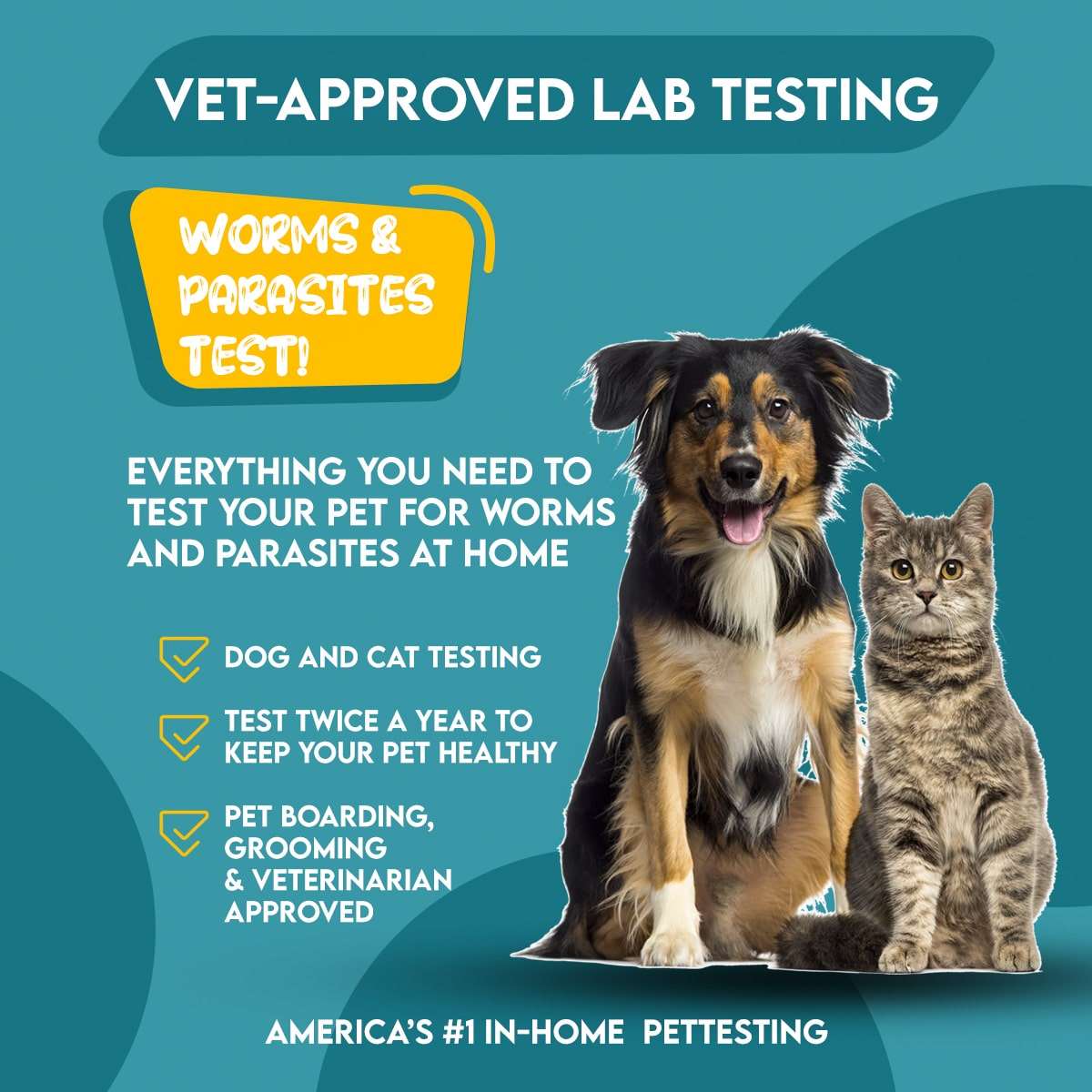 Easy Home Kit Affordable Pet Labs Total Fecal Tests Plus Giardia For Cats - Image 9
