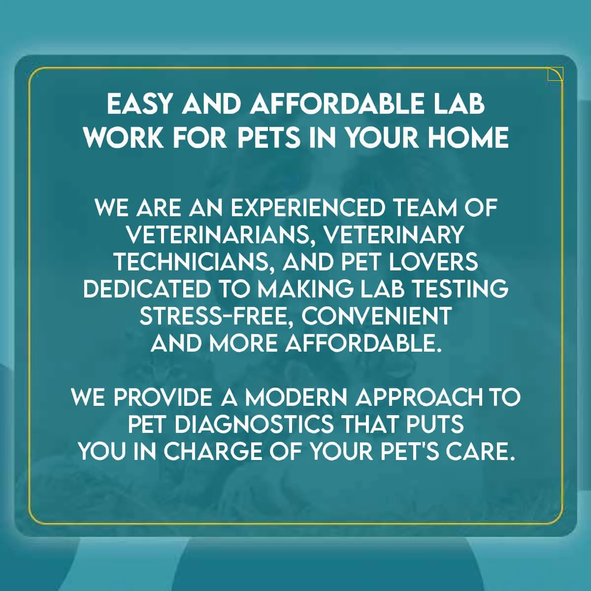 Easy Home Kit Affordable Pet Labs Total Fecal Tests Plus Giardia For Dogs - Image 10