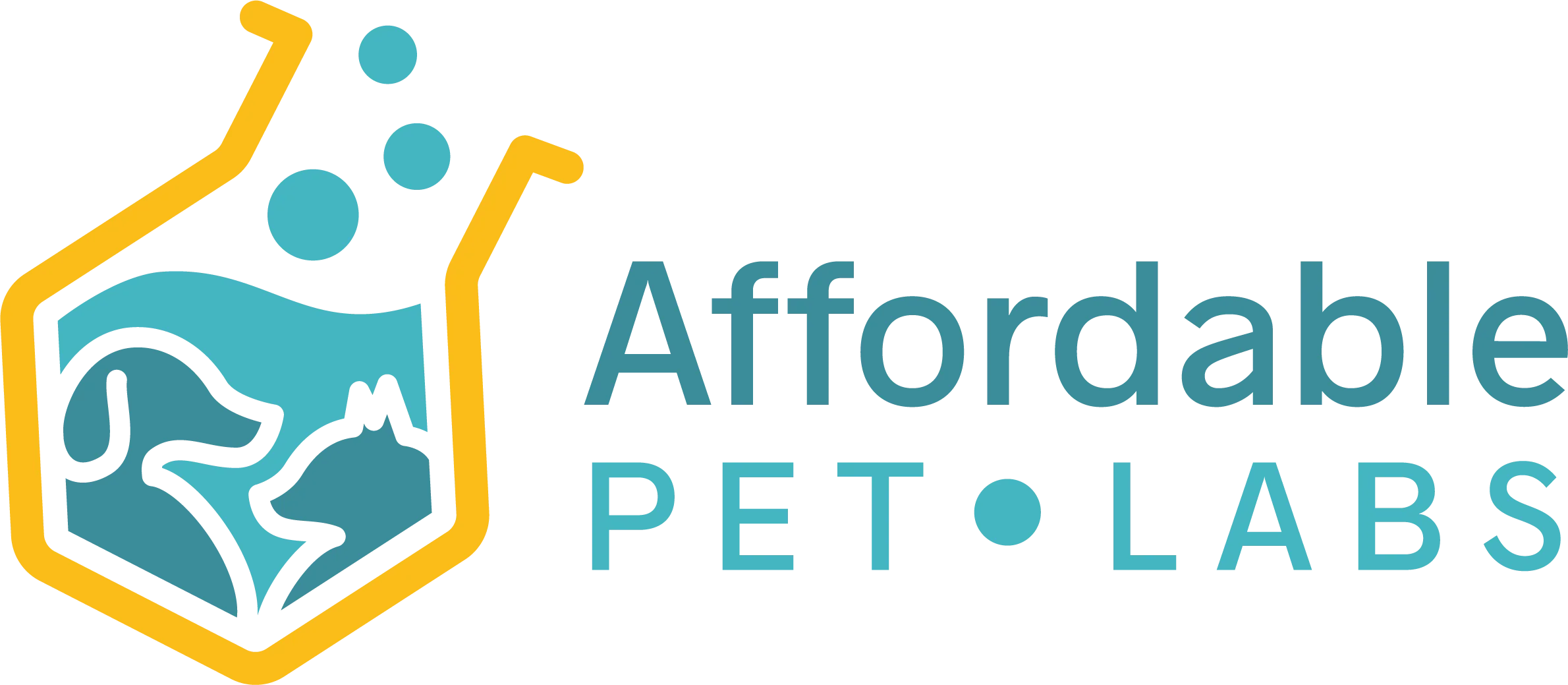 Easy Home Kit: Affordable Pet Labs Urine Cortisol / Creatinine Ratio Urine Test For Cats - Image 5