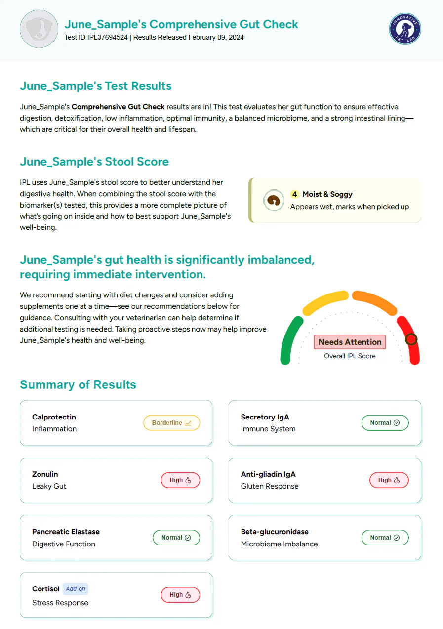 Easy Home Kit: Comprehensive Gut Health Review Test For Dogs - Image 3